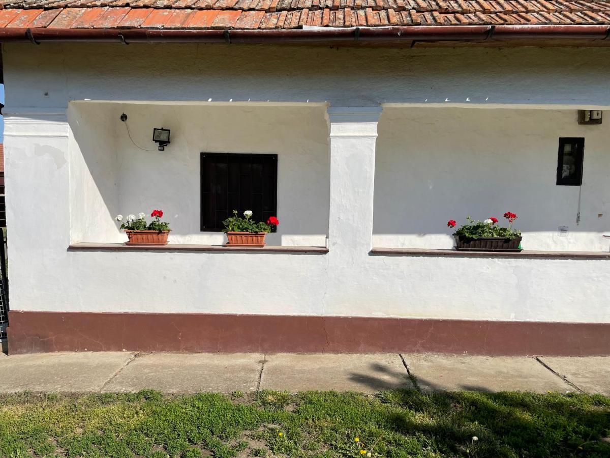 Zsuzsa Apartman Daire Poroszló Dış mekan fotoğraf